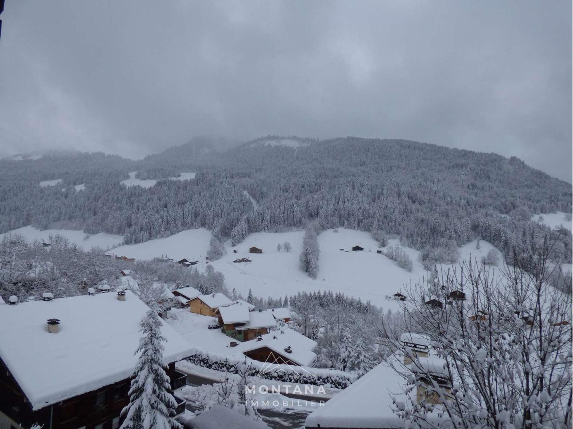 Studio Renove Avec Cabine - 26M² - 5 Pers - Balcon Expose Sud - Pres Skibus Et Remontees Mecaniques - Fr-1-458-125 Le Grand-Bornand Exteriér fotografie